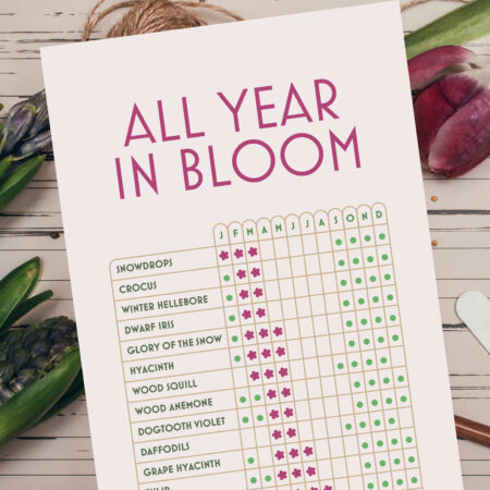 vegetable calendar alice rose